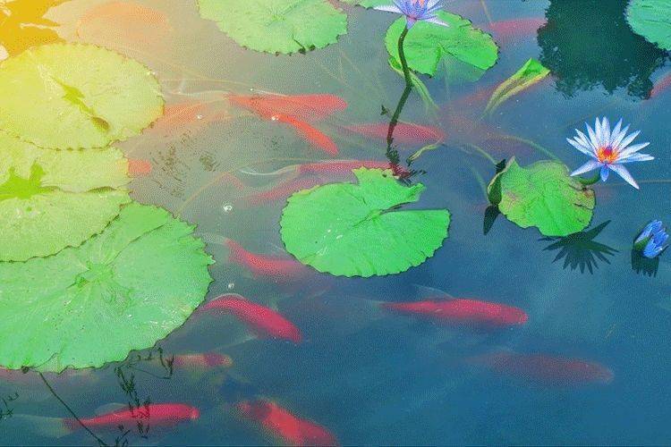 人口静止型