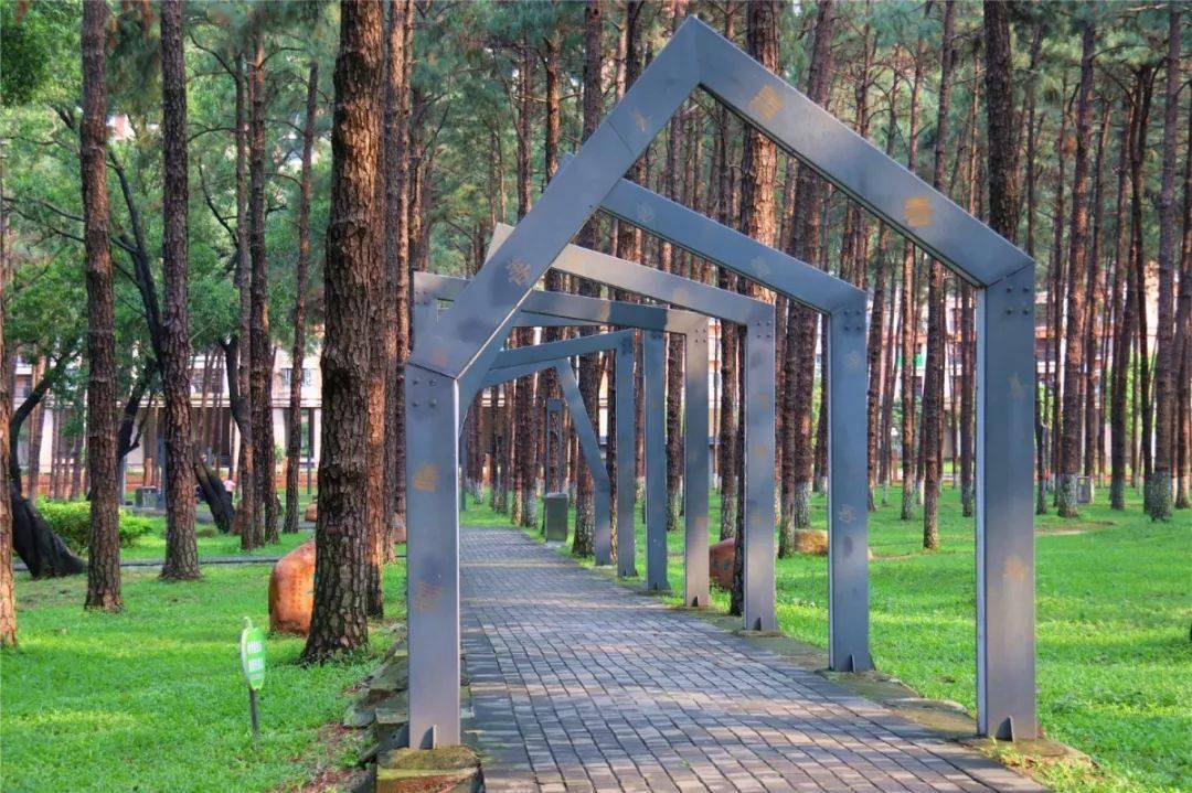 地址:清远市清新区松林公园