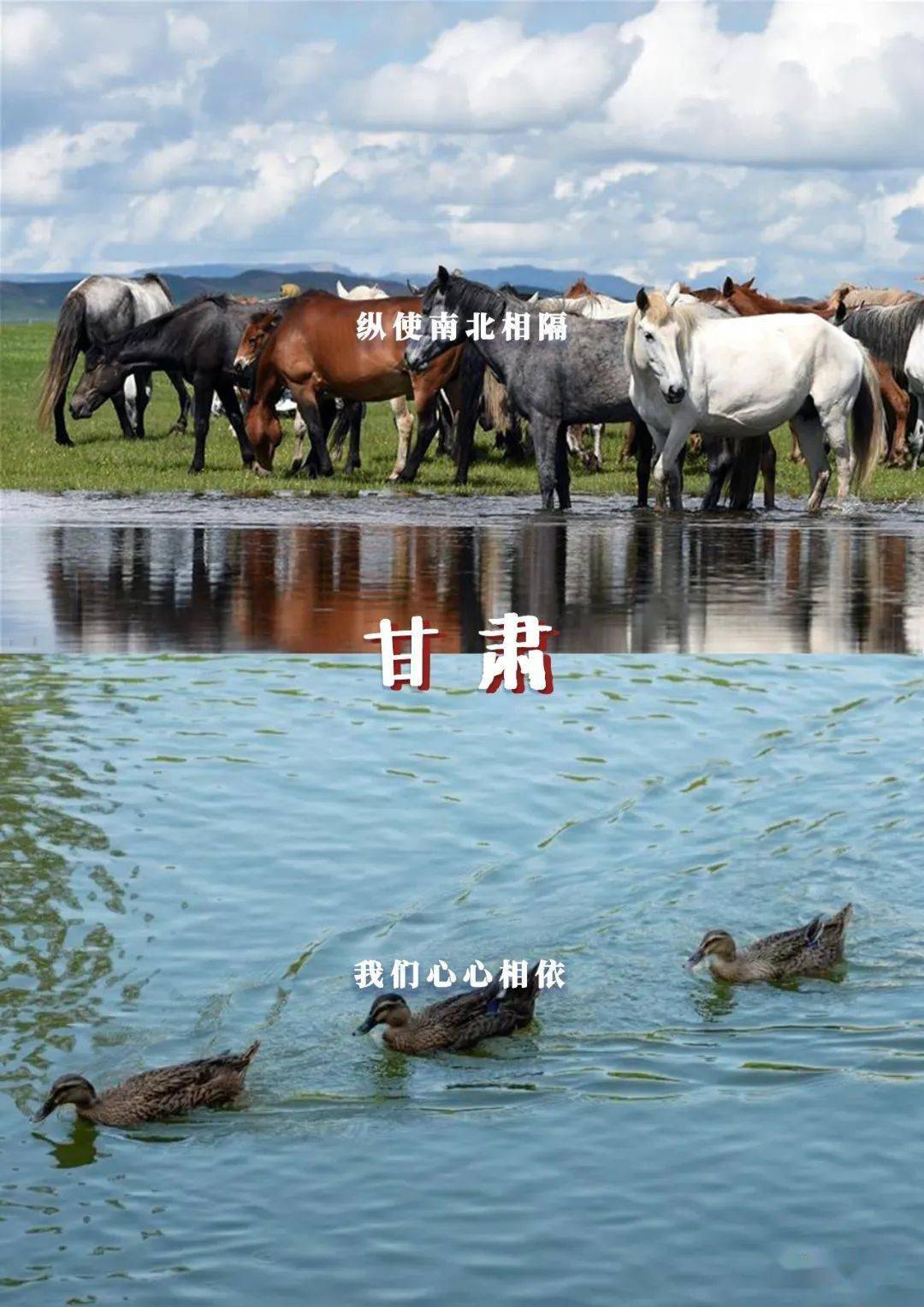 林世泉|梦想不延时华师在等你
