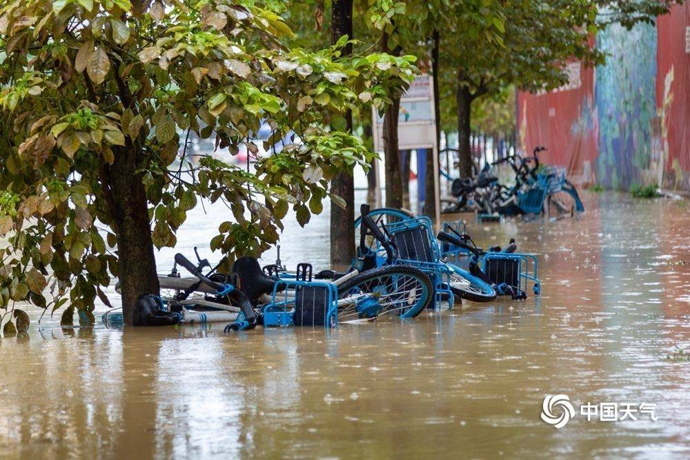 西江|强降雨影响广西 暴雨+地质灾害+渍涝等多个预警齐发