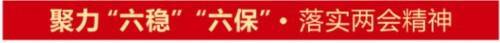 梧桐|厚植营商沃土，育出一片“梧桐林”