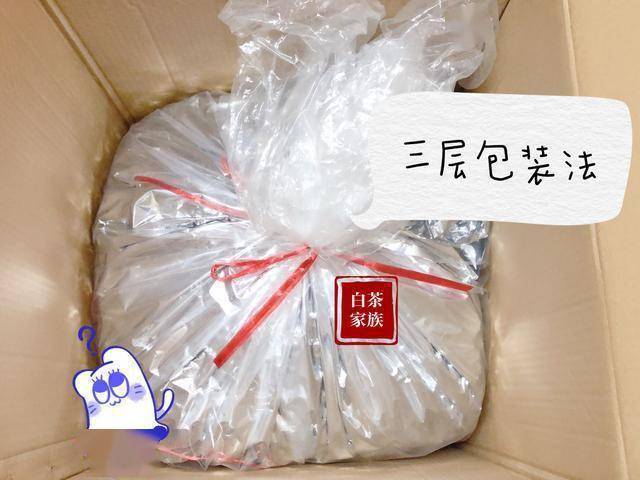 147dff9a7a4a4f039d59adca71105936.jpeg