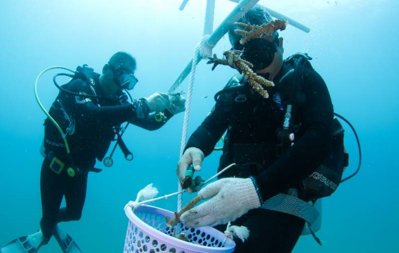 海域|中国首个热带海洋牧场雏形初现，组图揭秘如何在海底放牧养殖