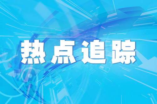 工作|巴黎圣母院脚手架拆除工程将开始 预计持续整个夏天