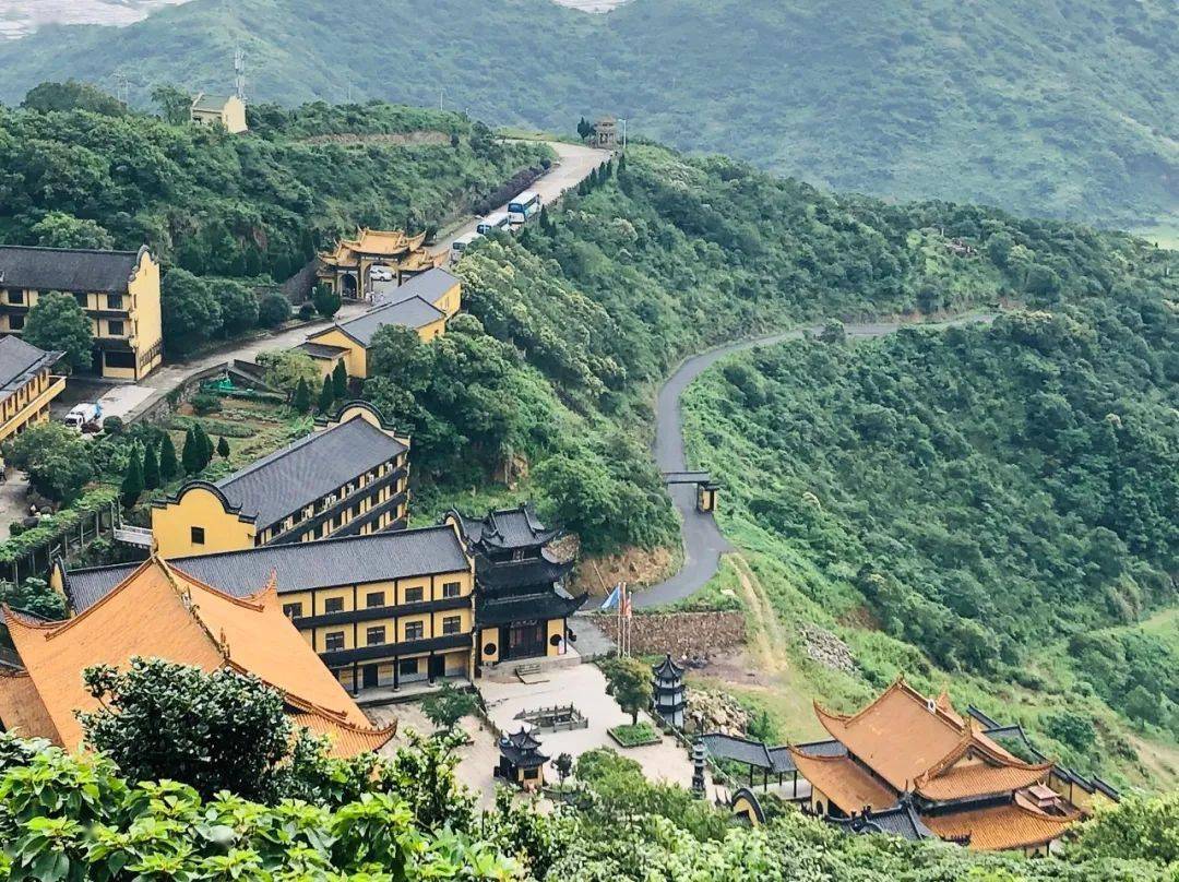 舟山高亭镇GDp_舟山gdp树状图