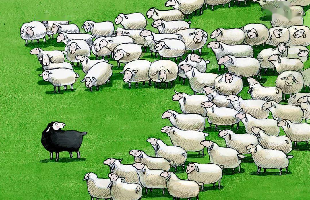 black sheep,对应到我们中文是