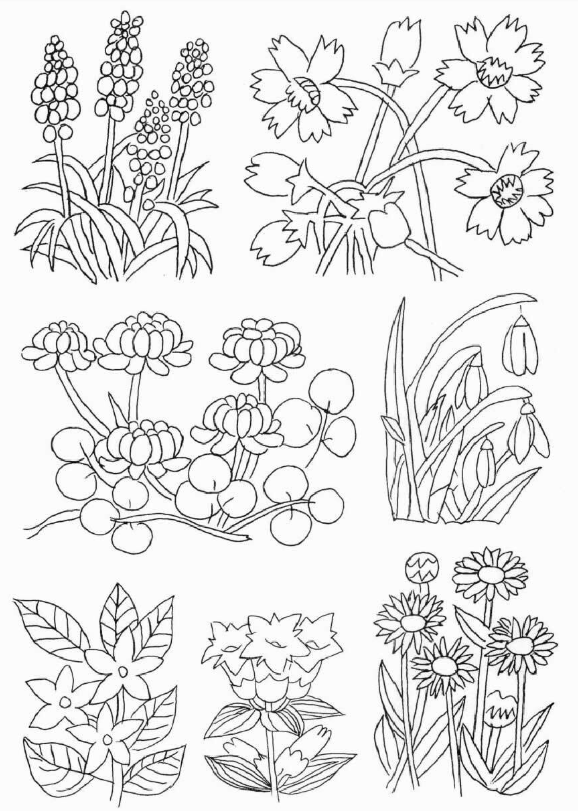 干货:植物类线稿,简笔植物花卉线稿素材