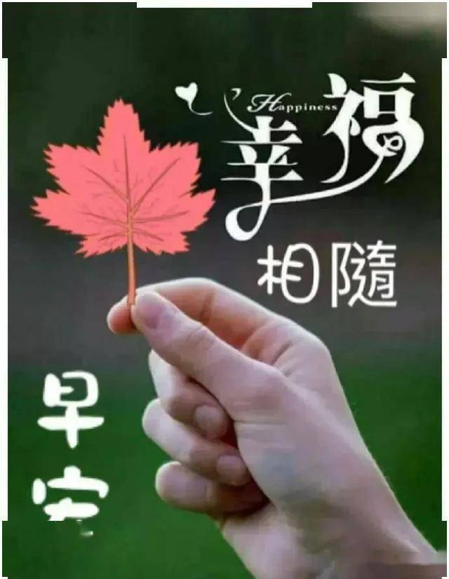 感动,是因为有人惦记;幸福,是因为有人可想,早安