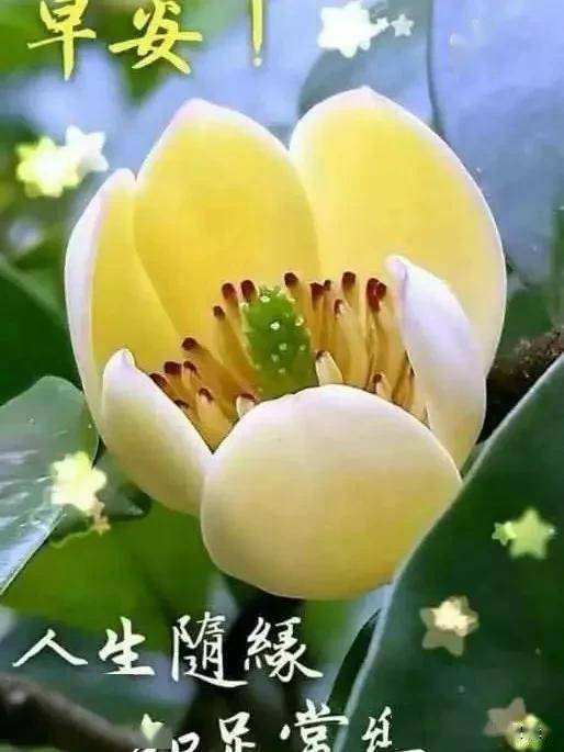 新的一天,新的希望,迎接新的机遇,早安