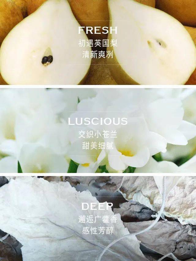 时髦控|祖玛珑爆款香水限量抢!闭着眼选都不会错! 时髦控|祖玛珑爆款香水限量抢!闭着眼选都不会错!