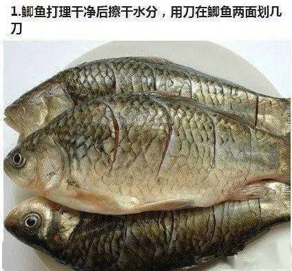 鲫鱼是一种高蛋白,低脂肪,营养价值很高的鱼类,是国民膳食结构中优质