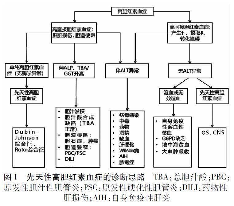 诊断(图1):对于婴幼儿或青少年(包括青年)以间歇性或长期黄疸为主要