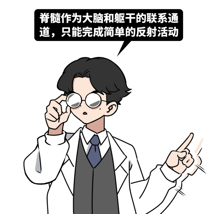 为什么睡觉时会突然抽搐一下?