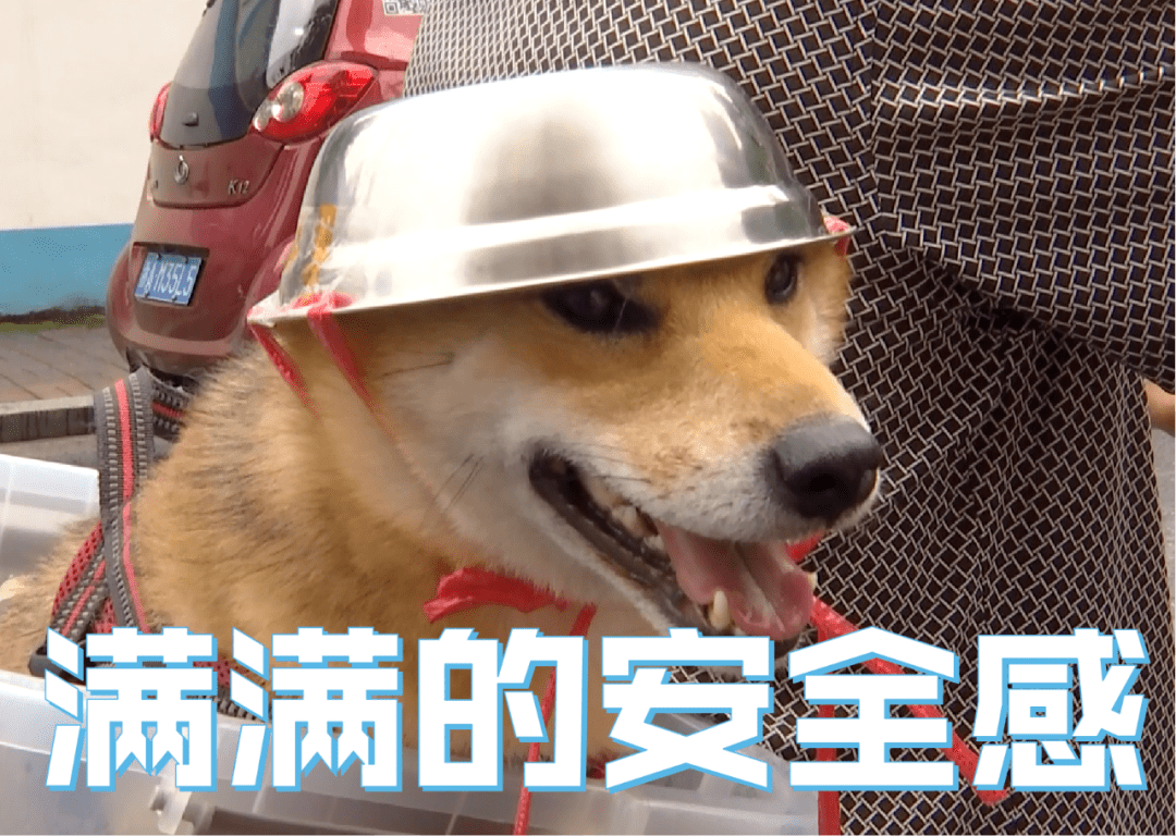 a9189d56f9fb42c2b87bc3890c1679a7.png