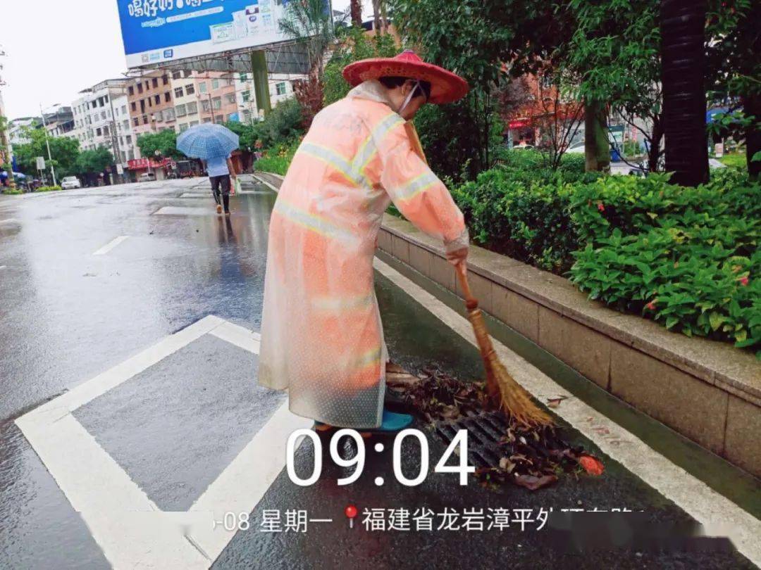 漳平有多少人口_漳平水仙茶(2)