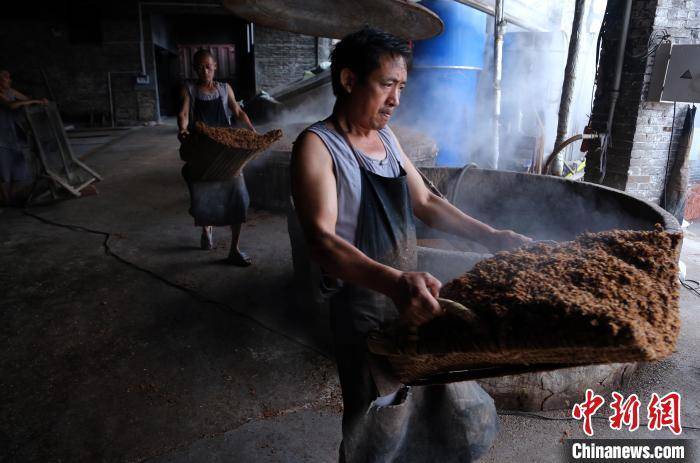 王磊 摄一位酿酒师傅在摊凉的酒糟上边撒边