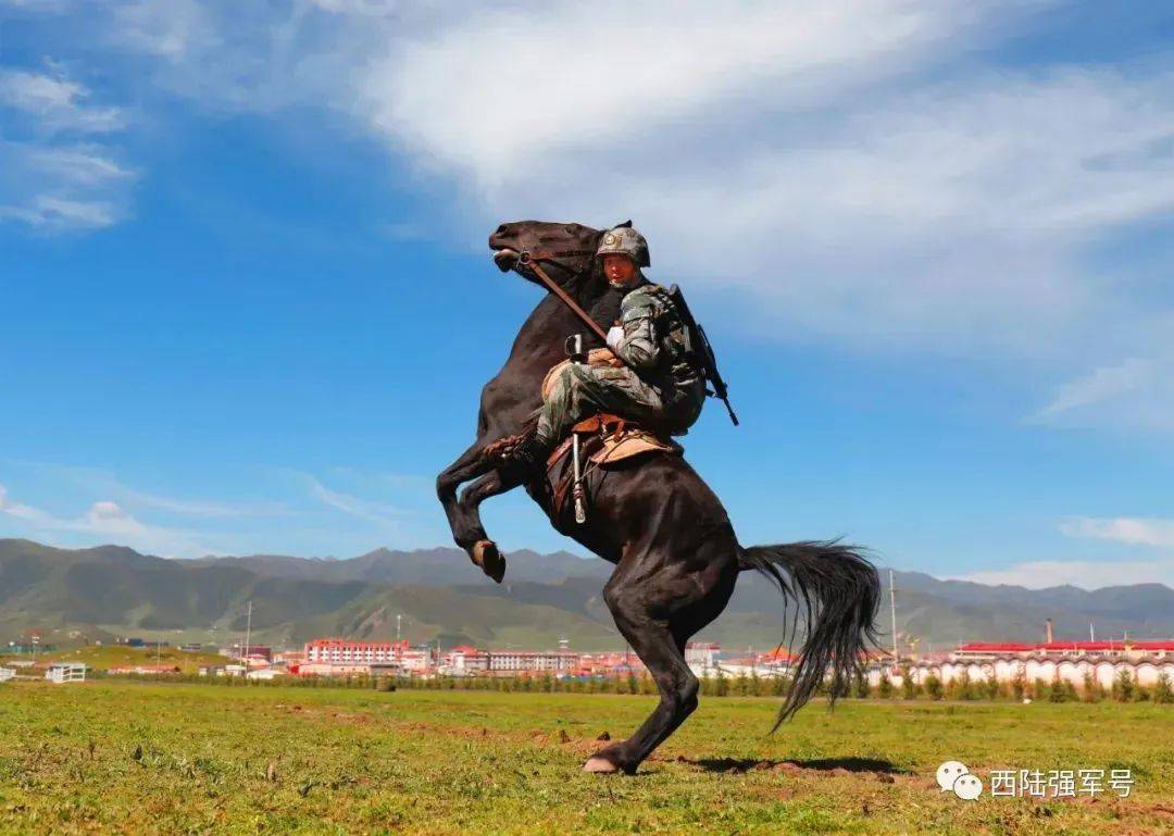 骑兵们在把乘马射击,乘马劈刺和乘马越障等传统骑术课目训实训精的