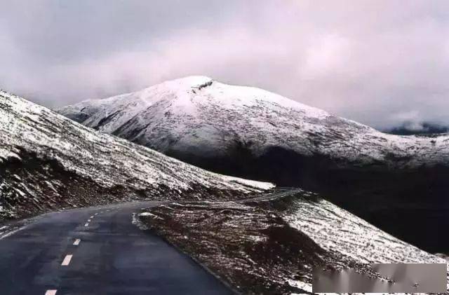 11a3e20617c0446da821a67744d87eec.jpeg