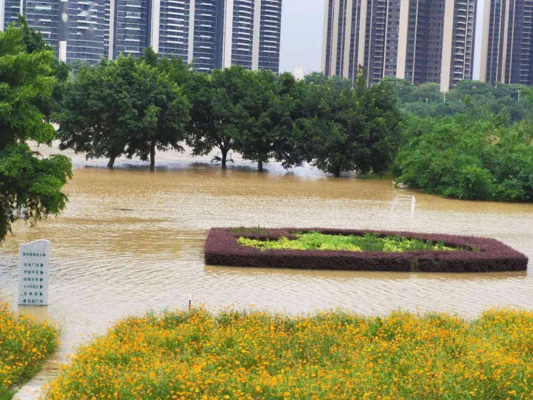 禅城,南海,三水多个公园,渡口关闭!今晚至明天将出现洪峰水位!