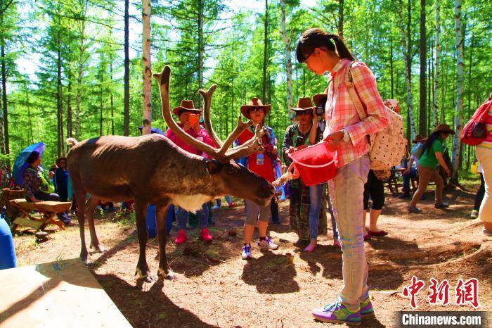内蒙古|内蒙古一地暂行2.5天弹性休假 限短途出游需求人员