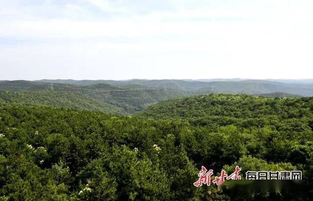 黄土高原人口集中在_黄土高原在哪个省(3)