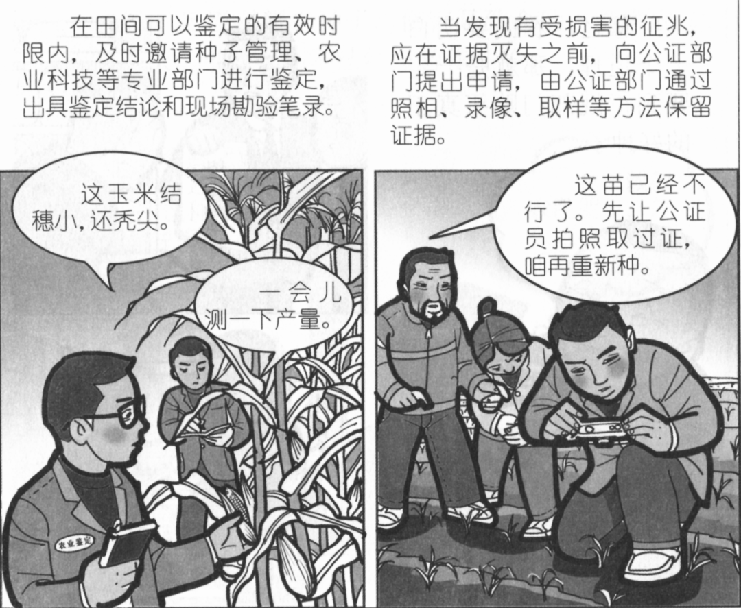 看图说事(种子维权)