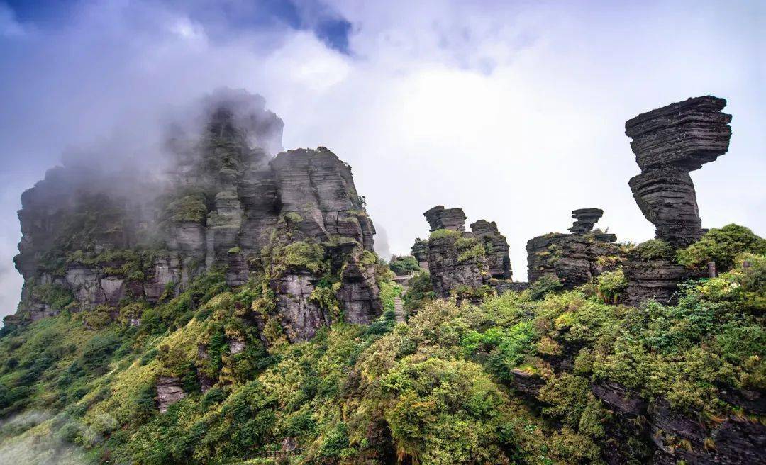 在装着天然中央空调的地方旅行，不香吗?