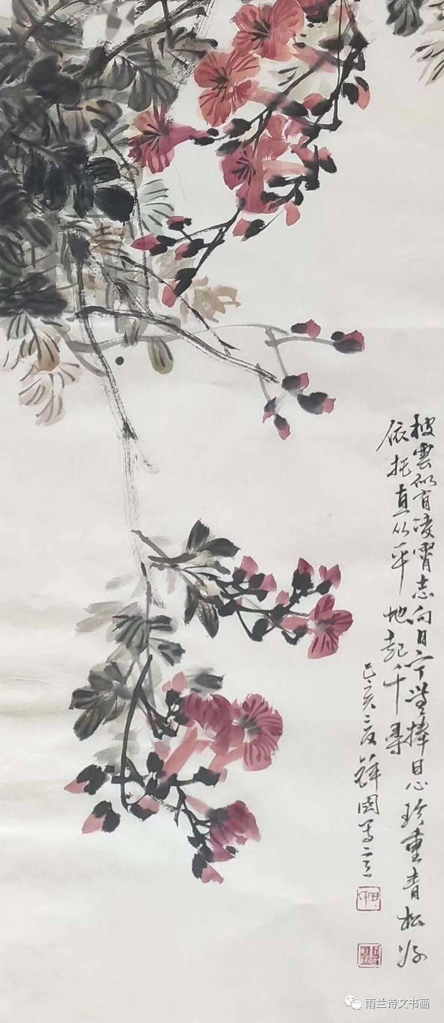 诗经里的植物苕之华下