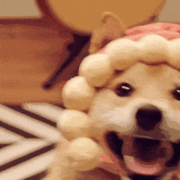 是范丞丞家  拥有卡姿兰大眼睛 小v脸  