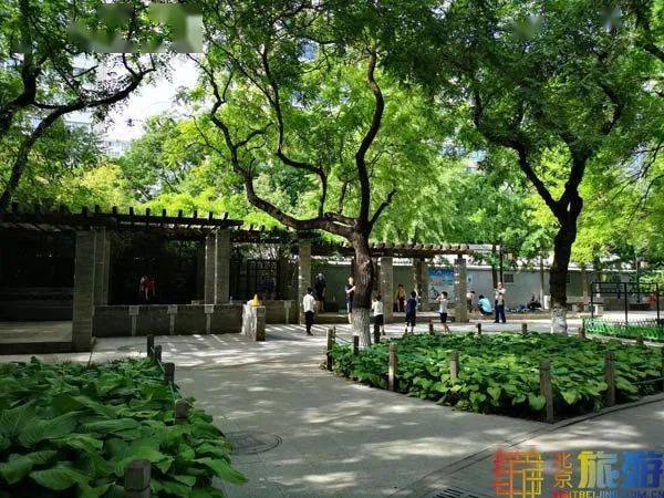 南城多少人口_台湾有多少人口(3)