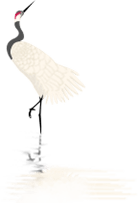 0586c08ac46f4337a24348a160376fa6.png