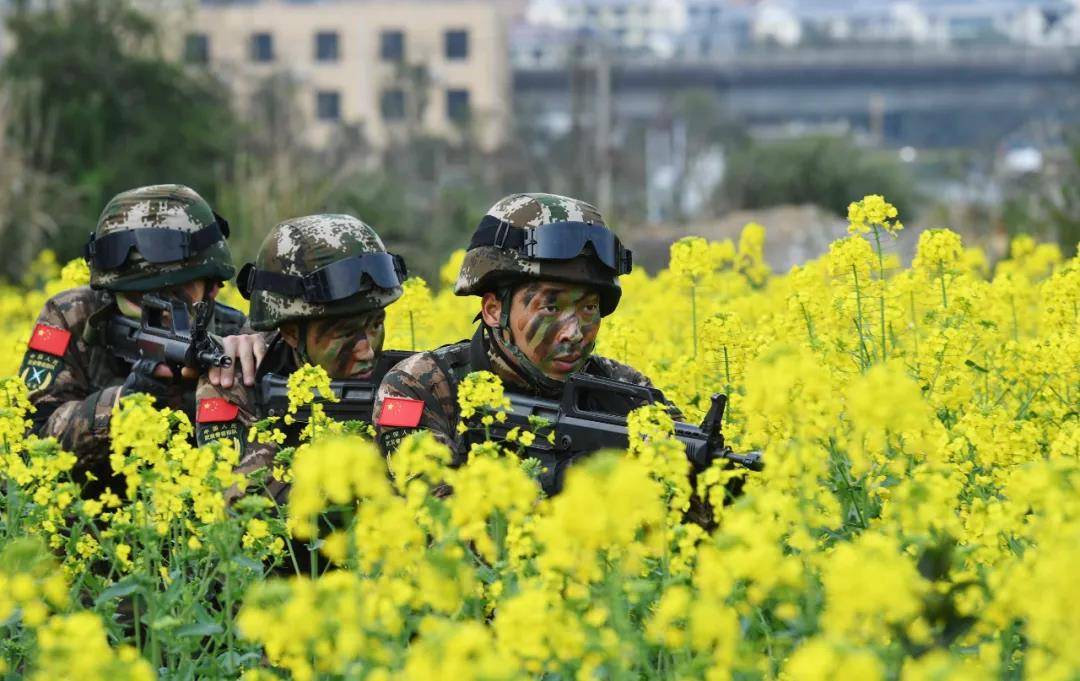 后浪徐迪立一等功曾一枪击毙匪徒候选武警十大忠诚卫士