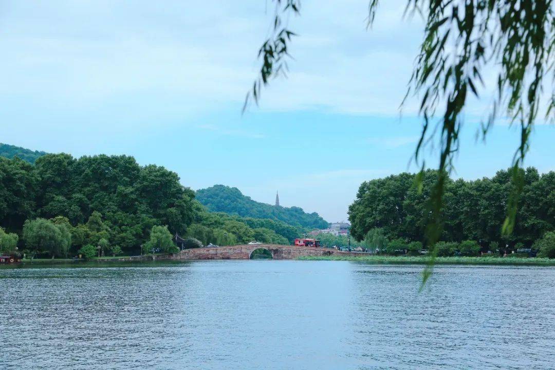 金菁 摄 来源:杭州西湖风景名胜区管委会 编辑: 陈志华 范雨涵 返回