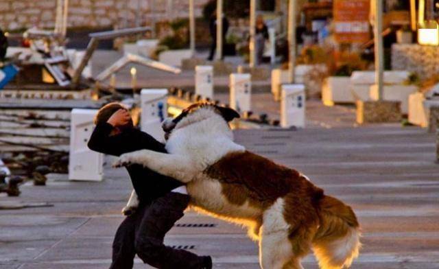 周公解梦，梦见小腿上被狗咬了一口，象征着什么？