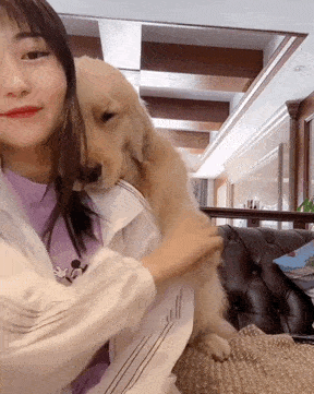 壁纸 动物 狗 狗狗 288_361 竖版 竖屏 手机 gif 动态图 动图