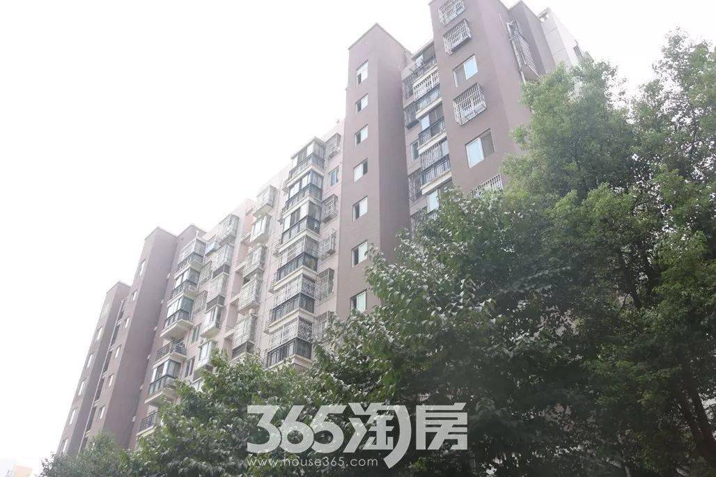 小区地址: 弋江区文昌东路以南,仓津路以东,文津东路以北