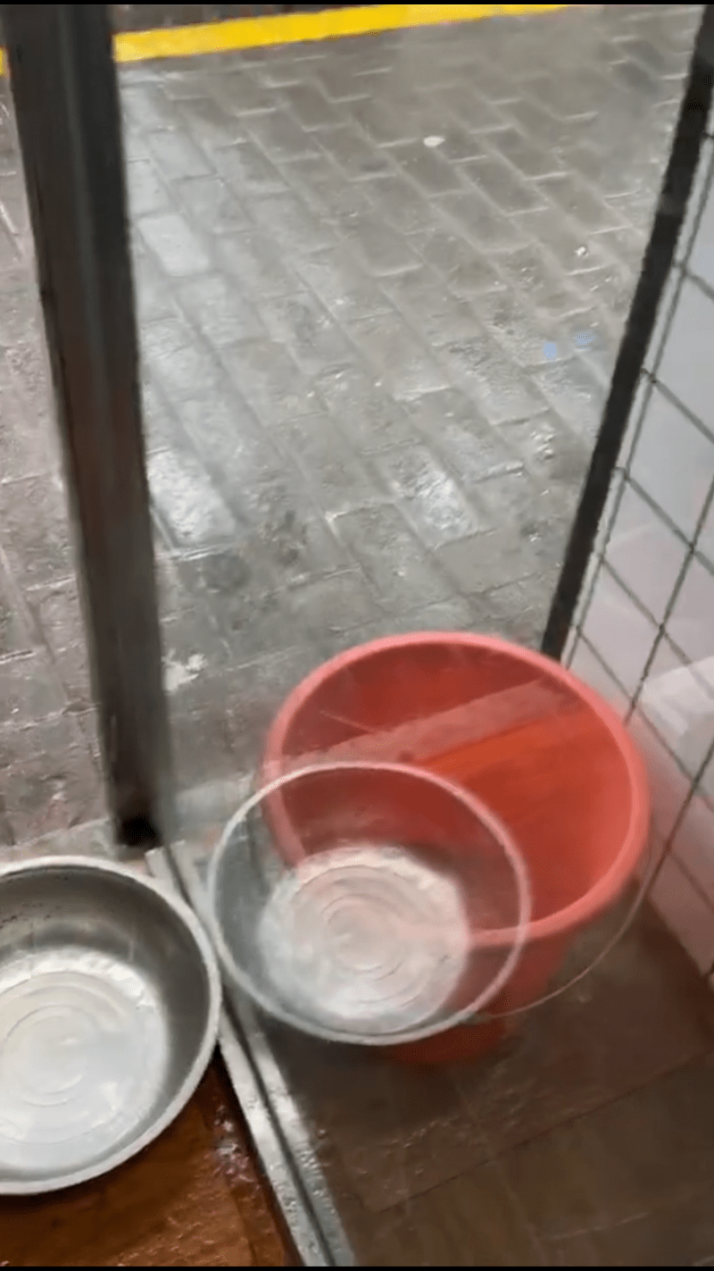 后续|西安商铺被换黑底白字招牌后续：连夜再换底色，当地称系旧城改造