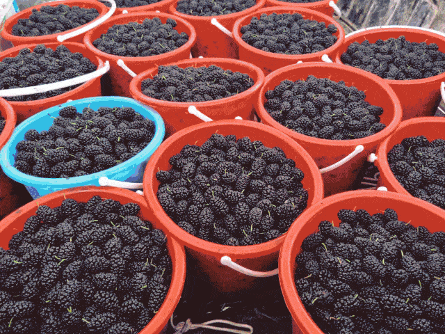 心动不如行动,赶紧约起来吧!