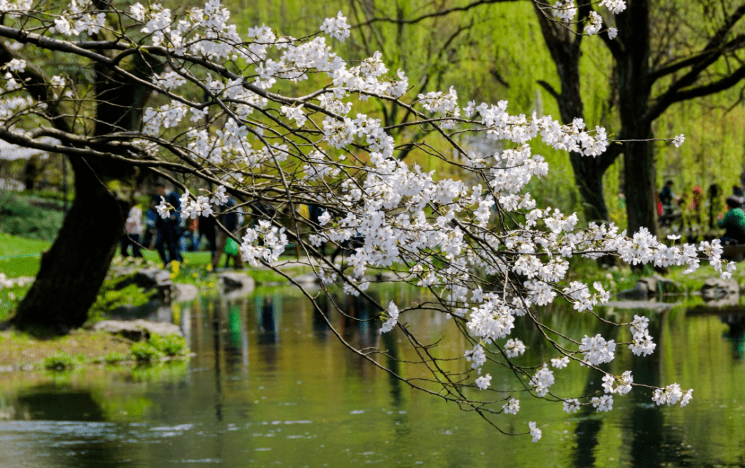 医用外科口罩与医用口罩 509856f8c85f4d53951696cf3de150a2.png