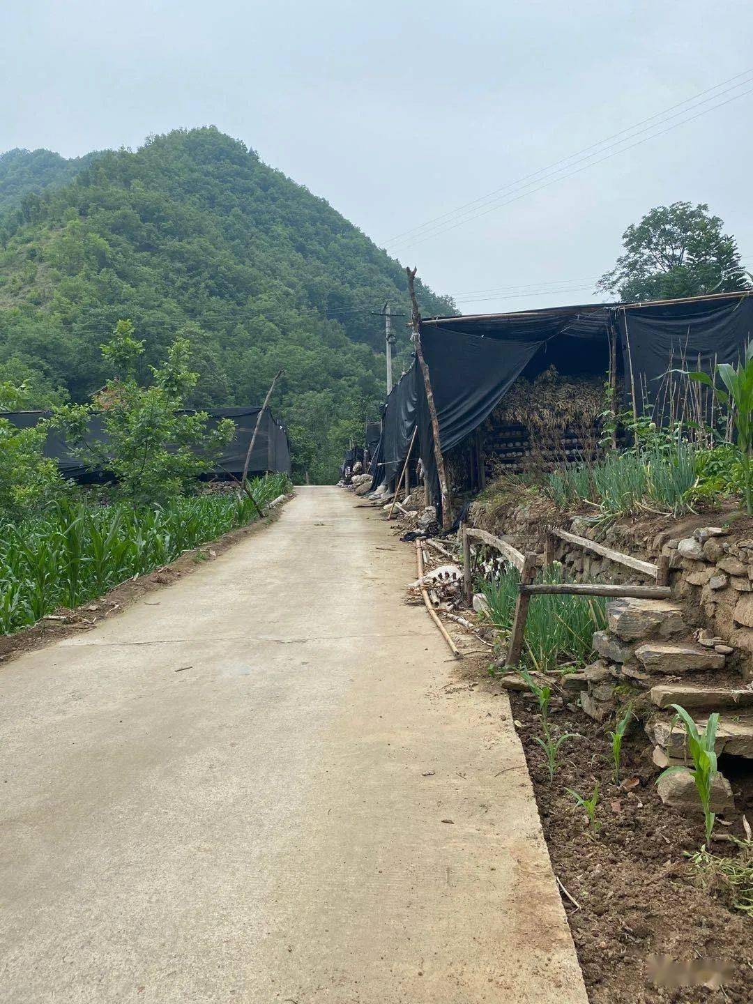 峦庄镇马家坪村,河口村,峡河村村路砂石,杂物占用路面,影响行车安全.