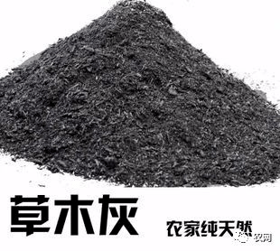 草木灰的成分是什么?属于什么肥料?怎么使用?