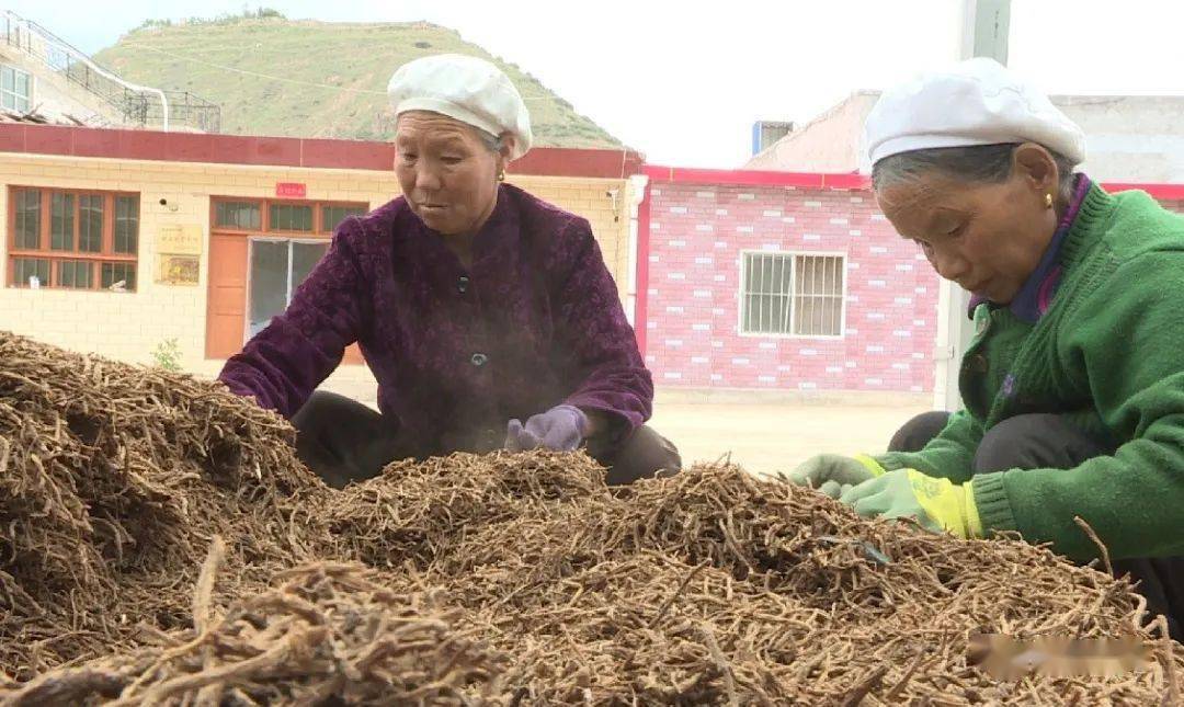 岷县:家门口的扶贫车间 拓宽群众增收致富路_西江镇