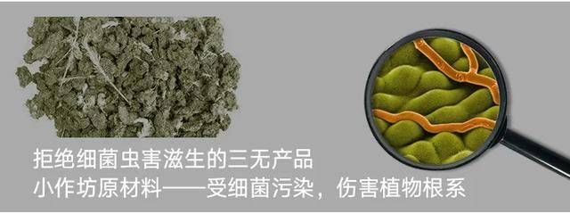 文章配图-2