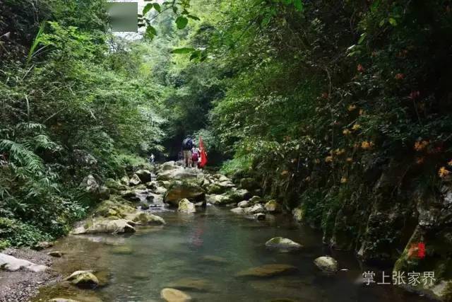 网游张家界慈利县岩泊渡镇红土村的桃水溪