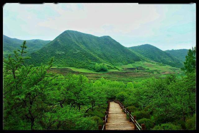 雨后的风景