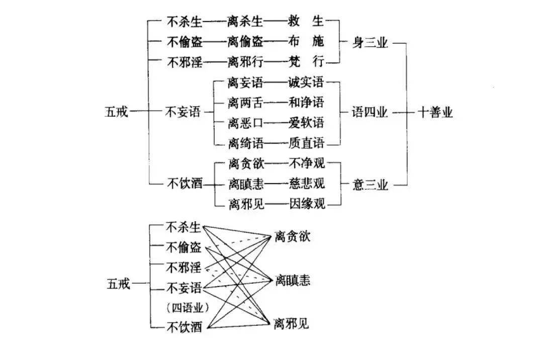 佛教的基本戒,就是五戒十善,虽然,佛教的教徒由于修持层次的不同而分