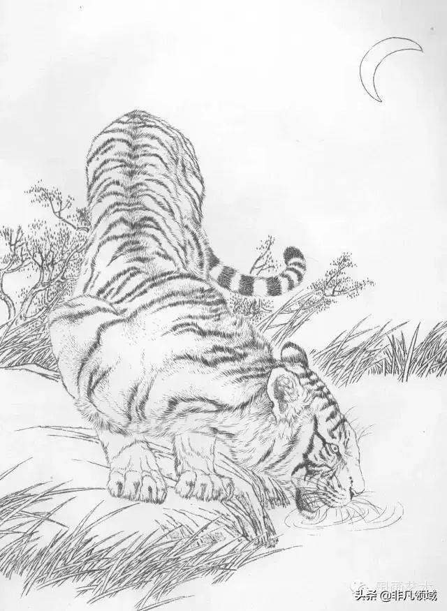 工笔画虎技法及线描画谱