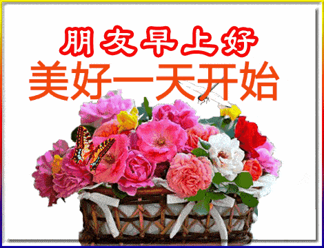 6月最新漂亮早上好问候语动态图片鲜花带字,最新漂亮早上好表情动态图