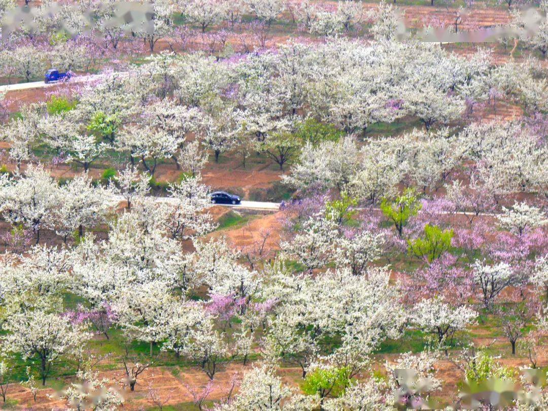 昌黎文化行两山乡人间胜景正明山