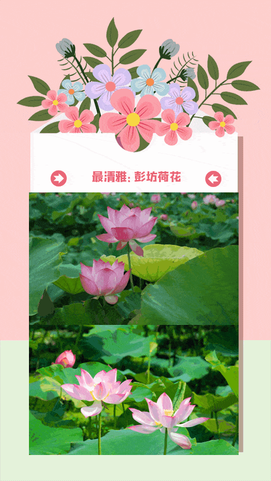 552_980 竖版 竖屏